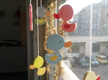 20151216_114913 20151216_114913
