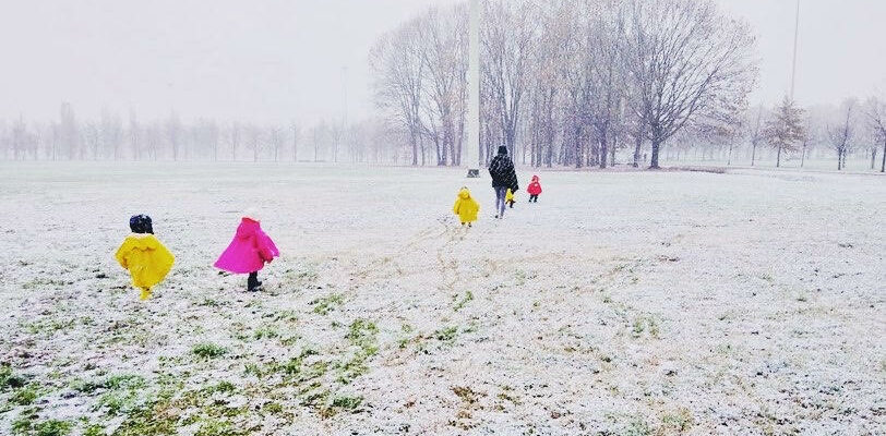 neve nido